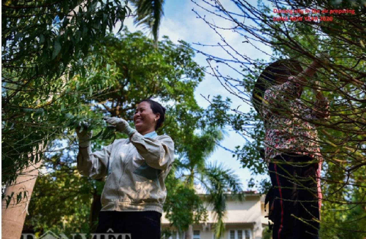 Da Nang Minh Hai Buitenkant foto